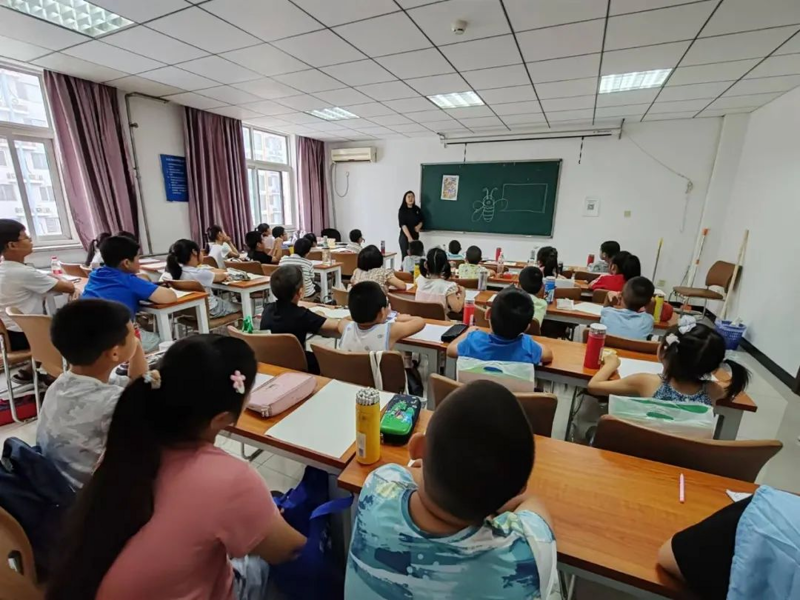 青少班与普通培训班：哪个更适合你的孩子？